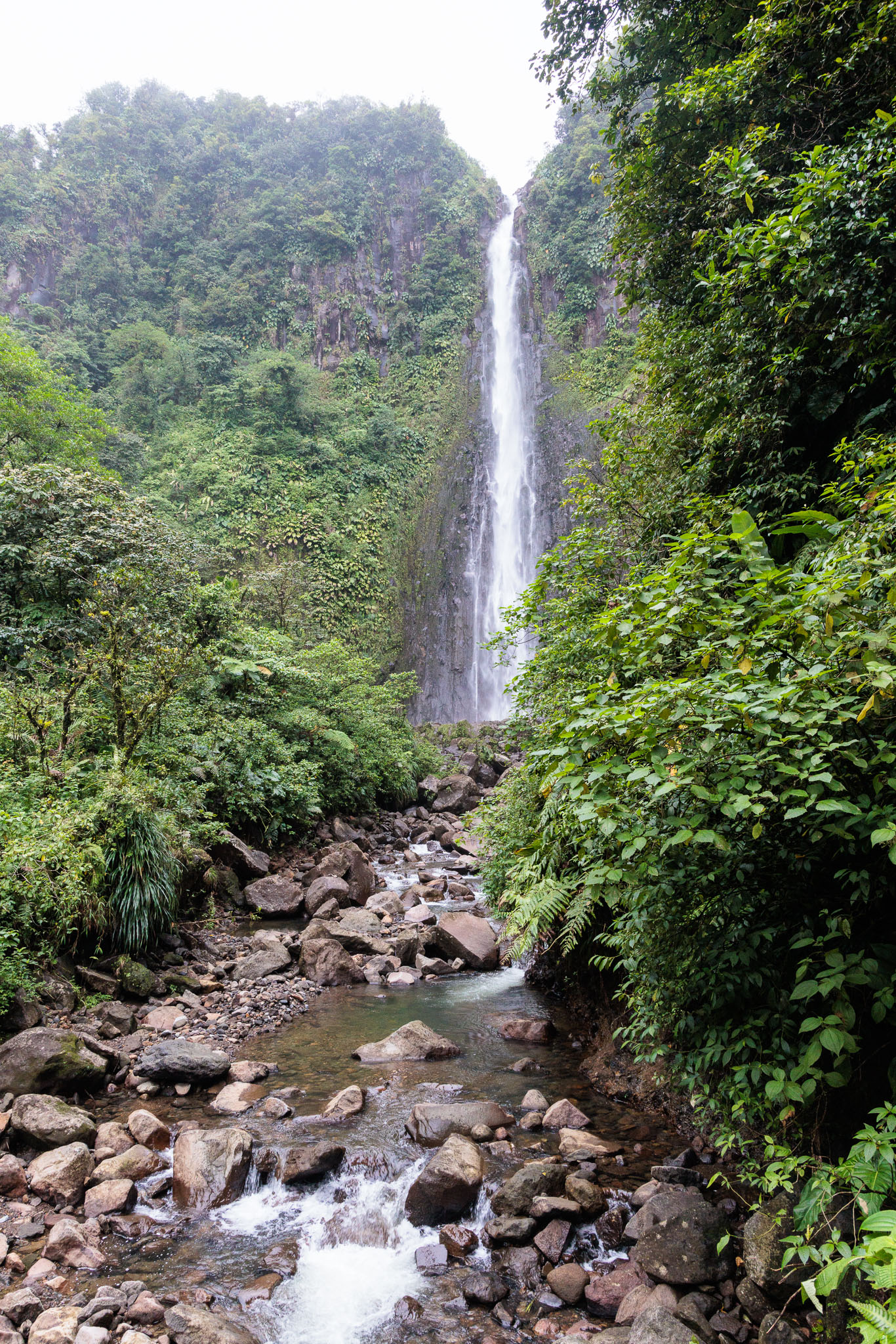 Guadeloupe2022-0114-14.jpg