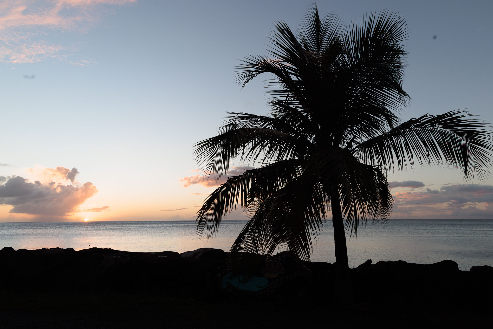 Guadeloupe2022-0114-54.jpg