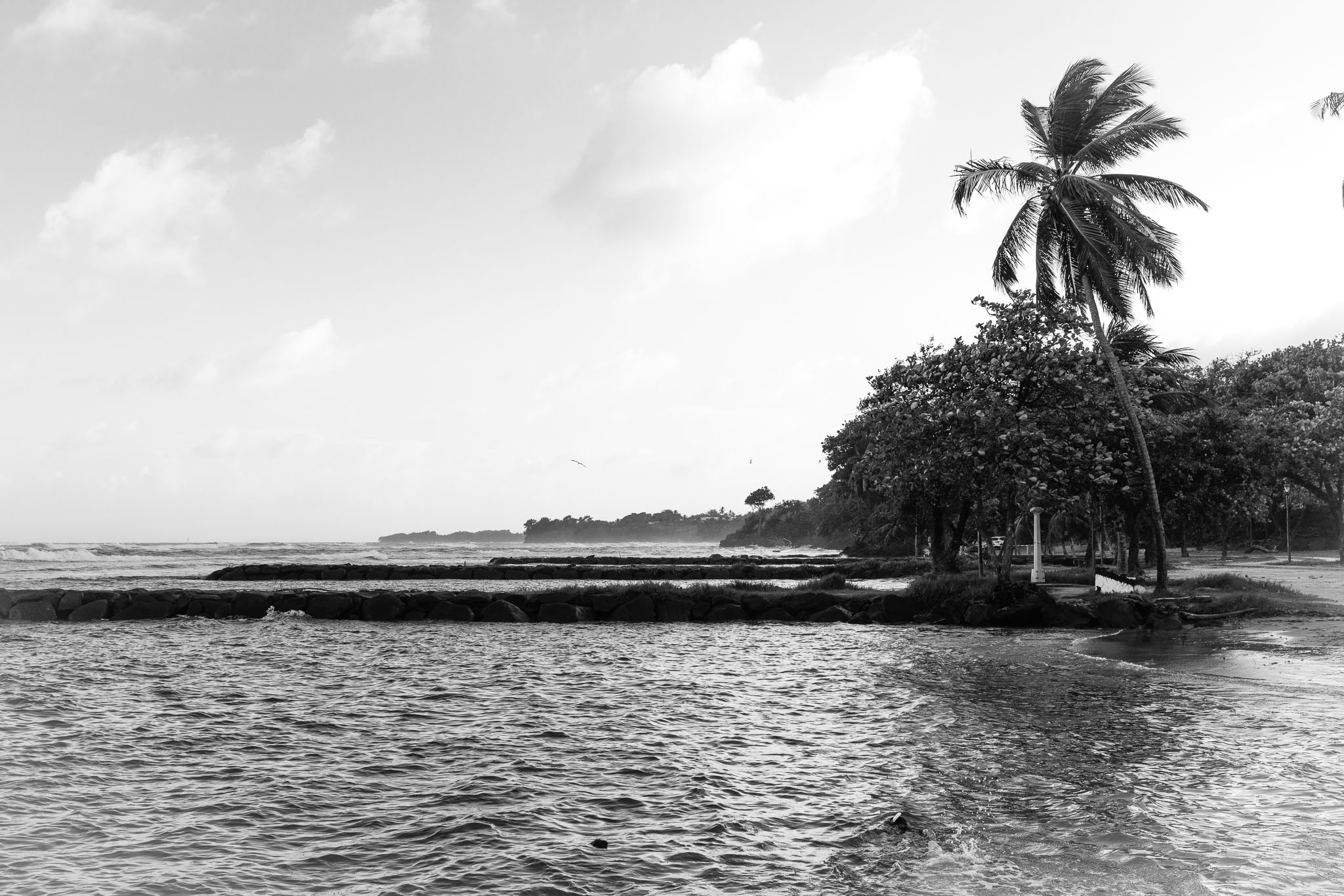 Guadeloupe2022-0114-55.jpg