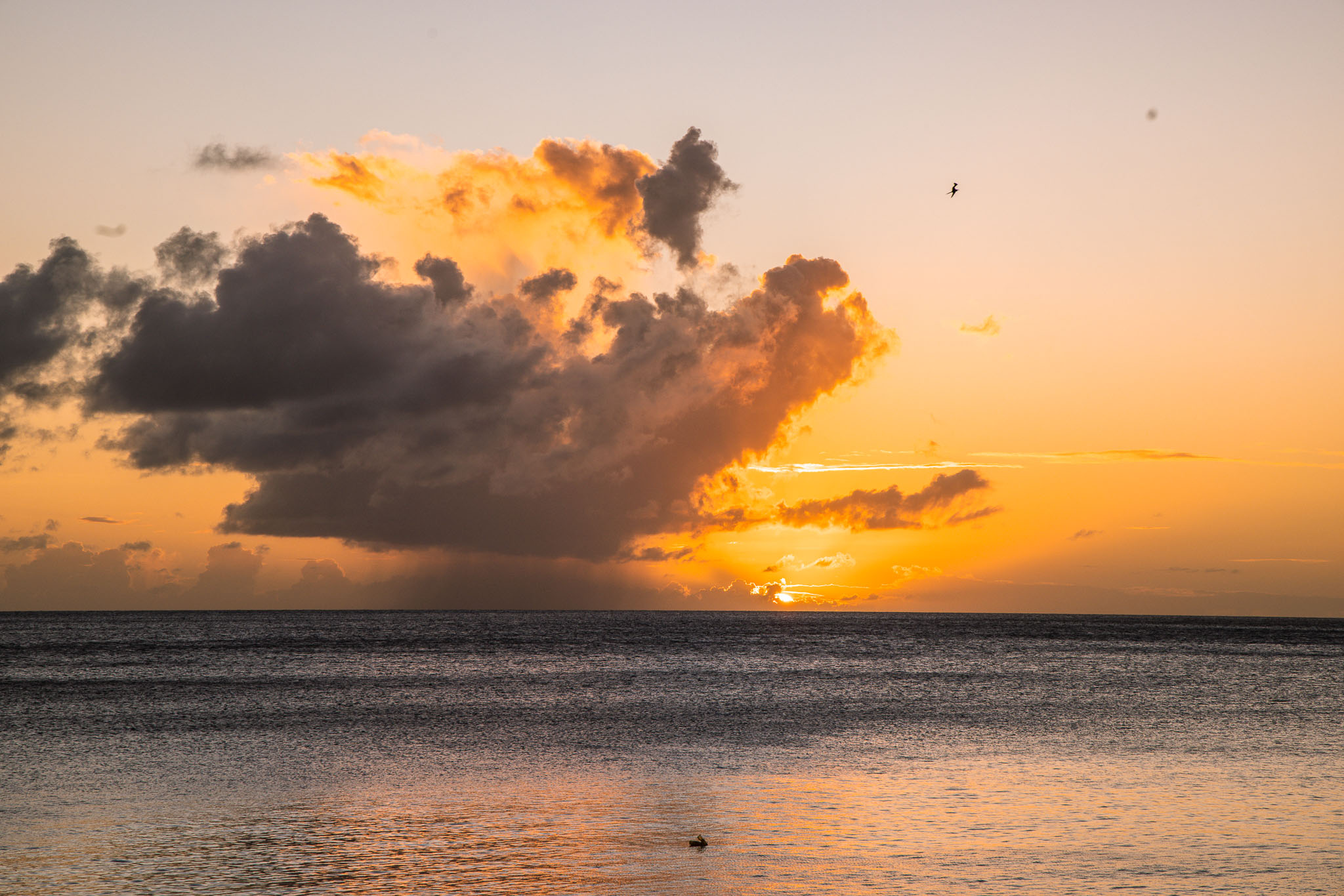 Guadeloupe2022-0114-83.jpg