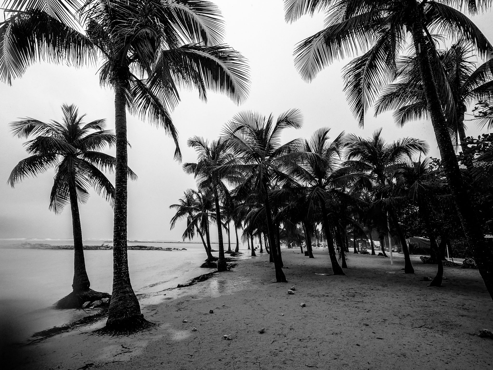 Guadeloupe2022-0183-146.jpg