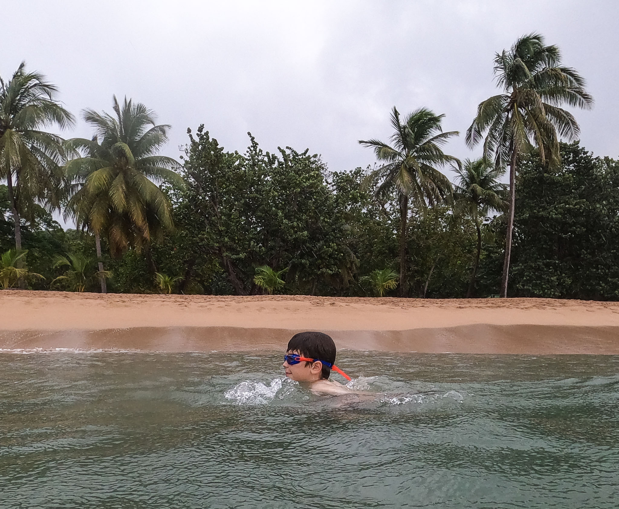 Guadeloupe2022-0183-174.jpg