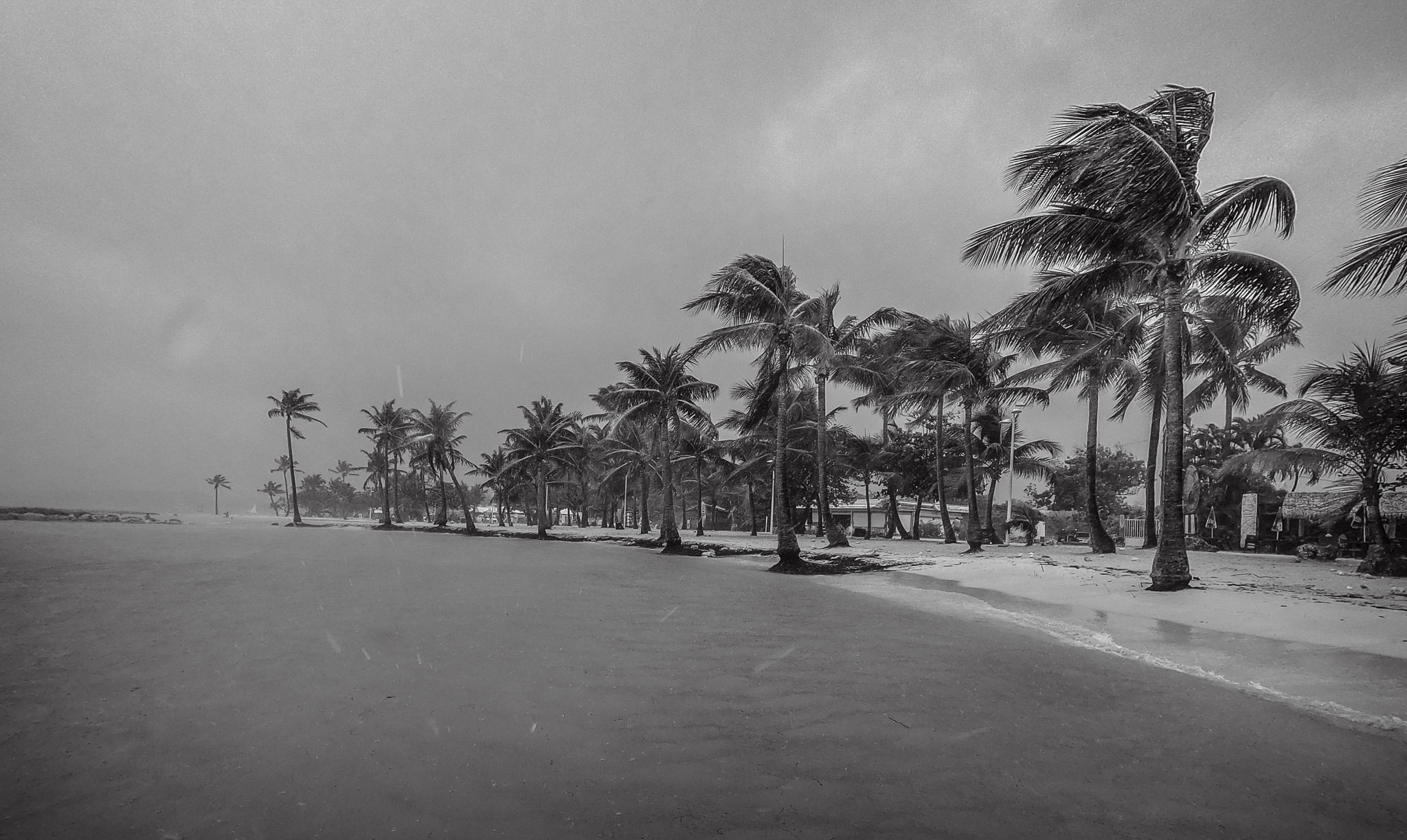 Guadeloupe2022-0183-6.jpg
