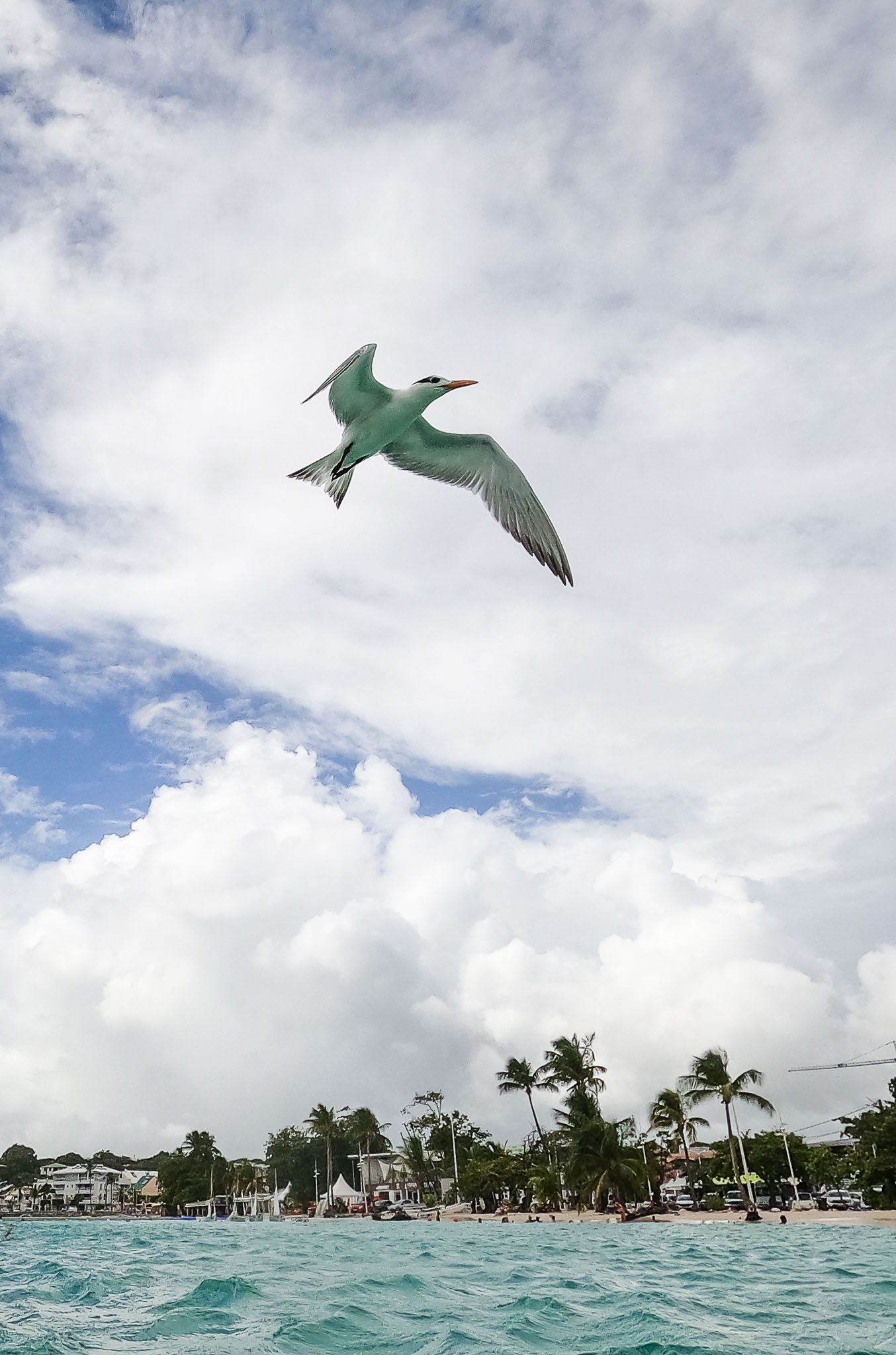 Guadeloupe2022-0183-85.jpg