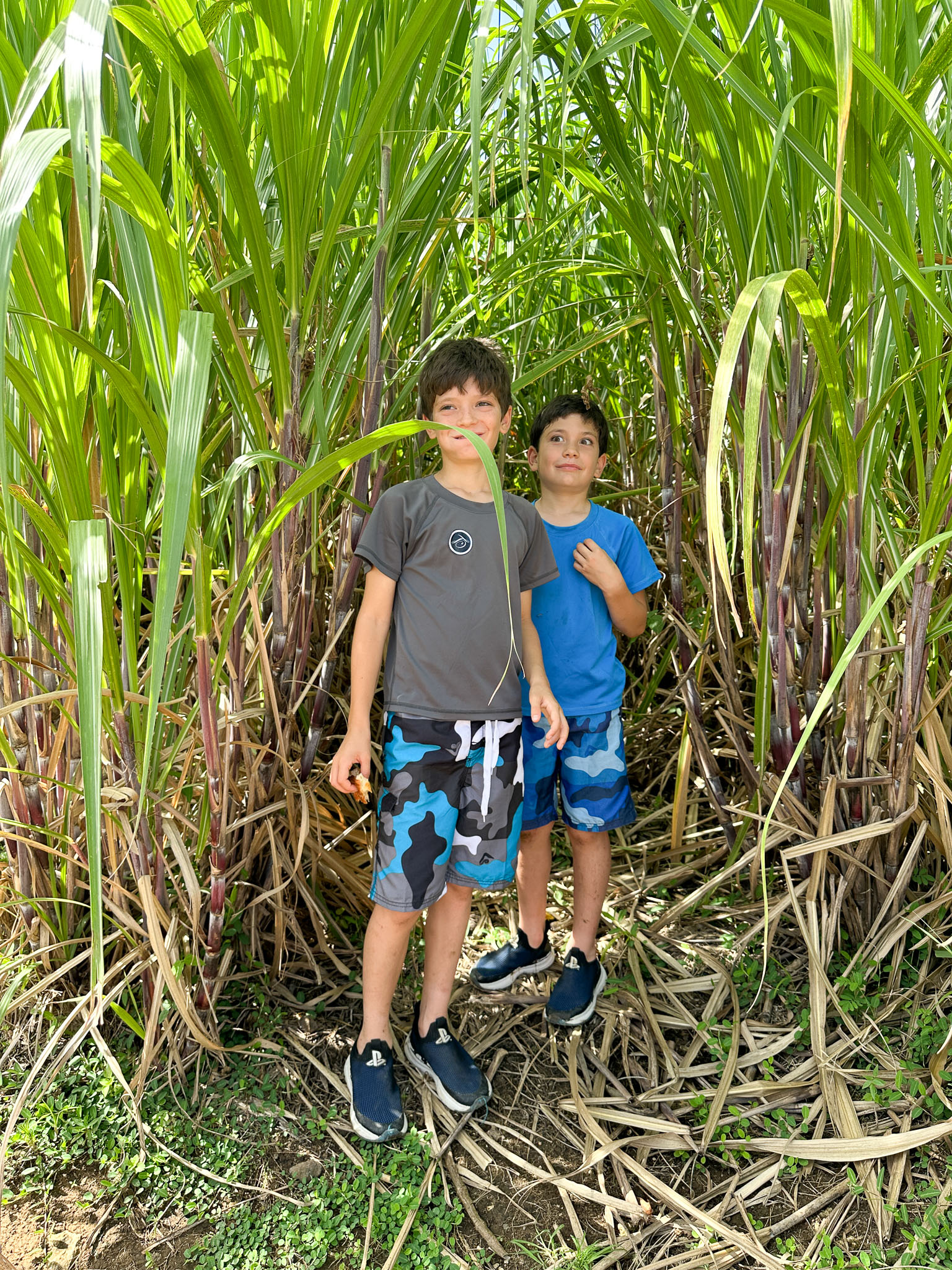 IMG_5626.jpg