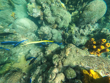 Guadeloupe2022-0183-11.jpg