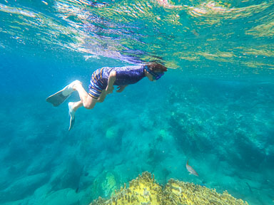 Guadeloupe2022-0183-170.jpg