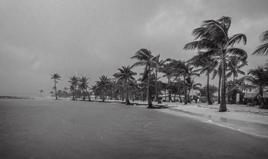 Guadeloupe2022-0183-6.jpg