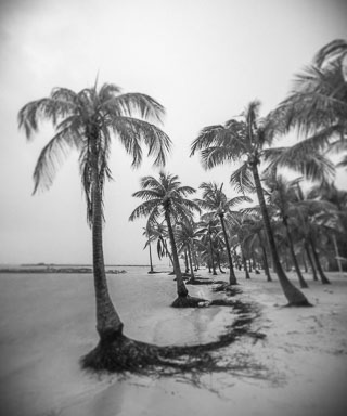 Guadeloupe2022-0183-84.jpg