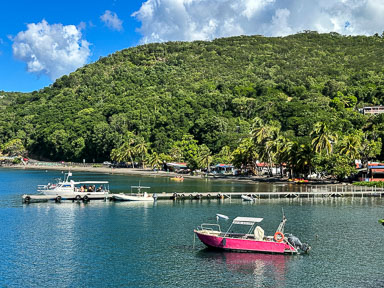 IMG_5358.jpg