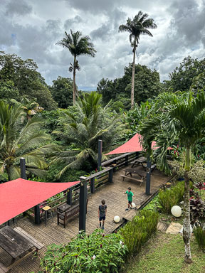 IMG_5910.jpg