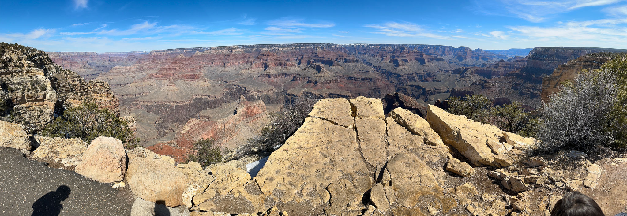 IMG_6984.jpg