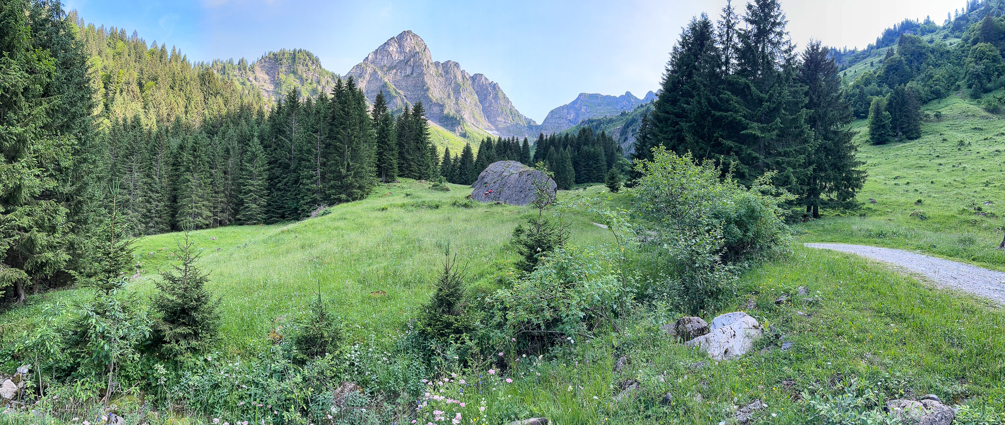 IMG_8166.jpg