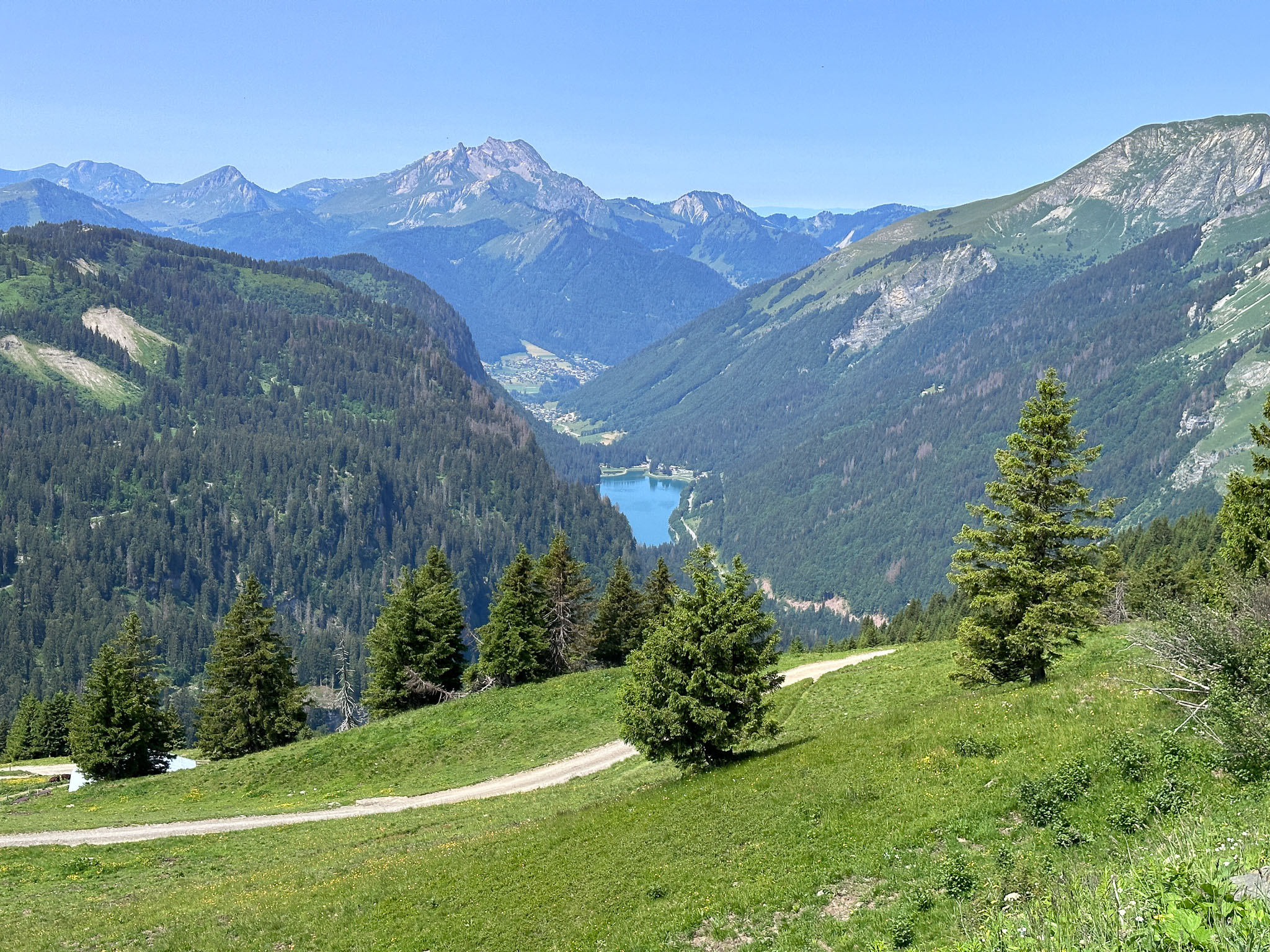 IMG_8189.jpg