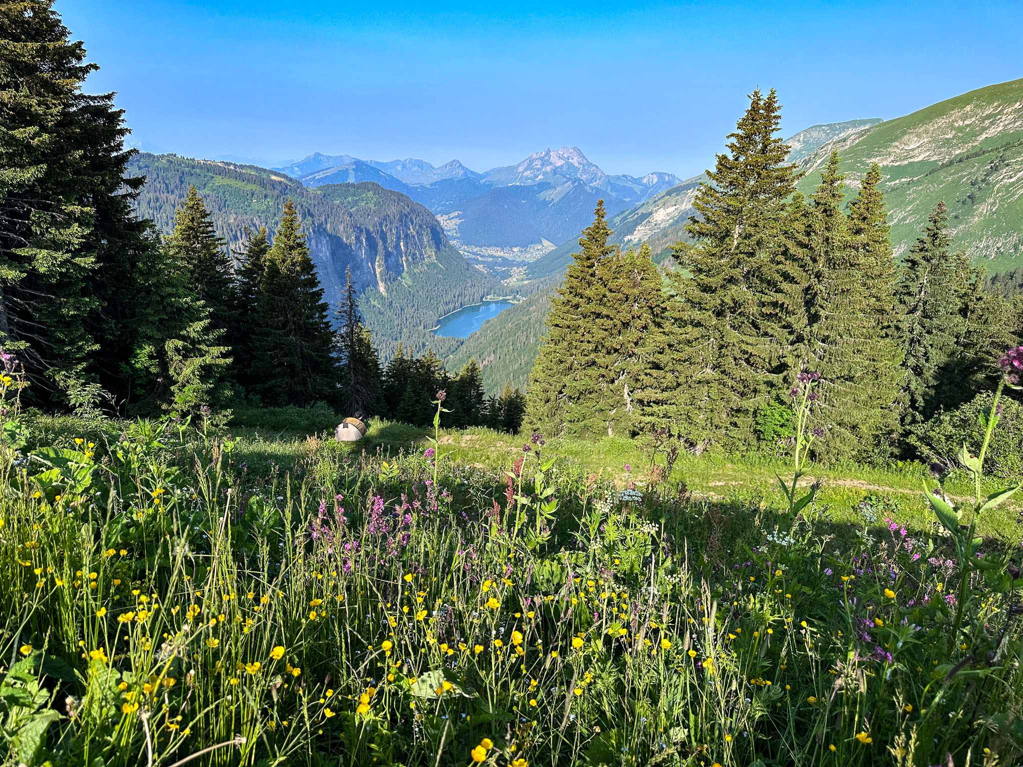 IMG_8230.jpg