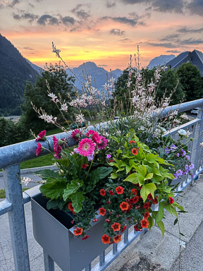 IMG_8109.jpg