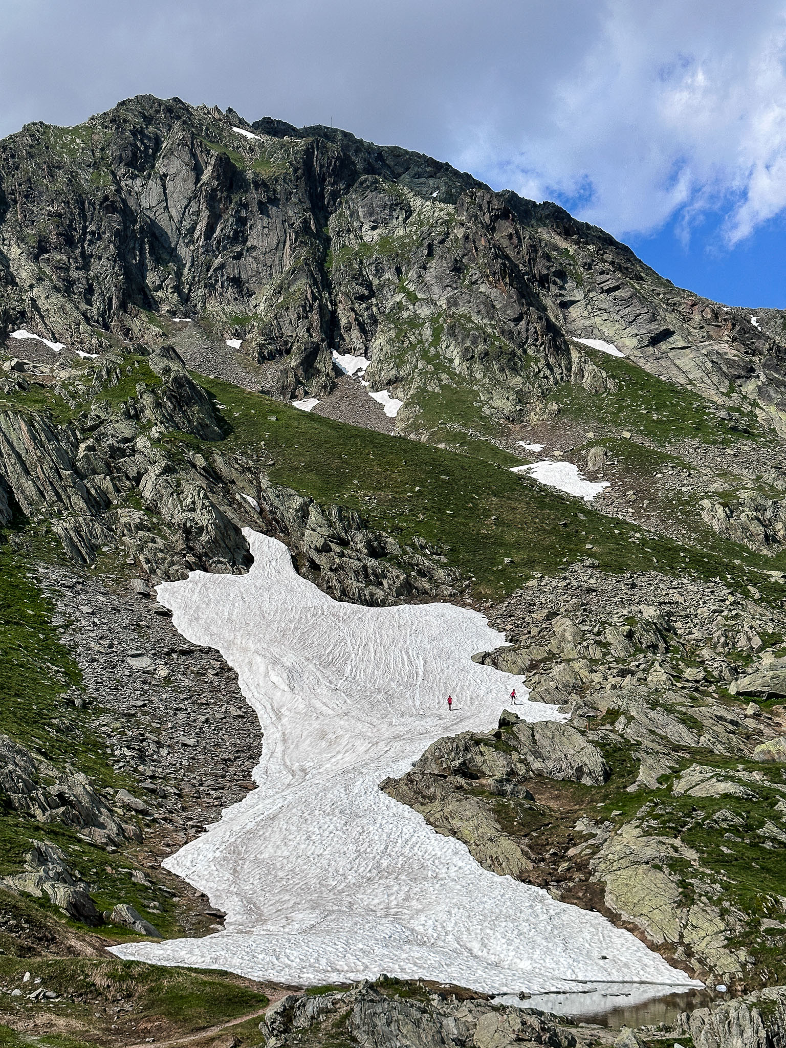 IMG_8100.jpg