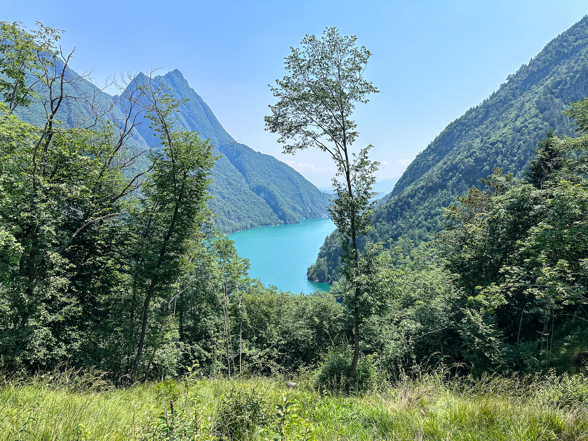 IMG_7749.jpg