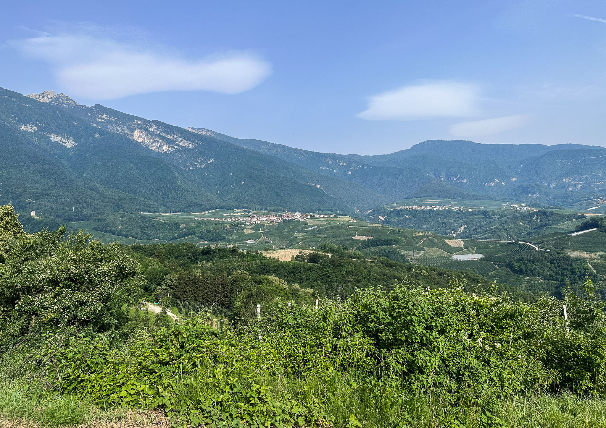IMG_7863.jpg