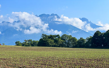IMG_7579.jpg
