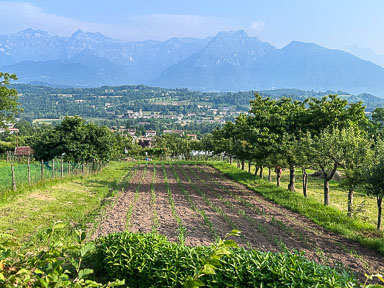 IMG_7816.jpg
