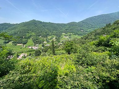 IMG_7824.jpg