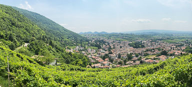 IMG_7825.jpg