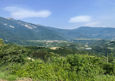 IMG_7863.jpg