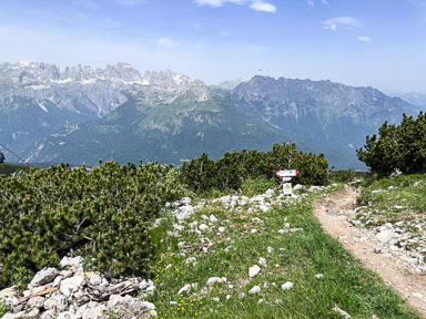 IMG_7871.jpg