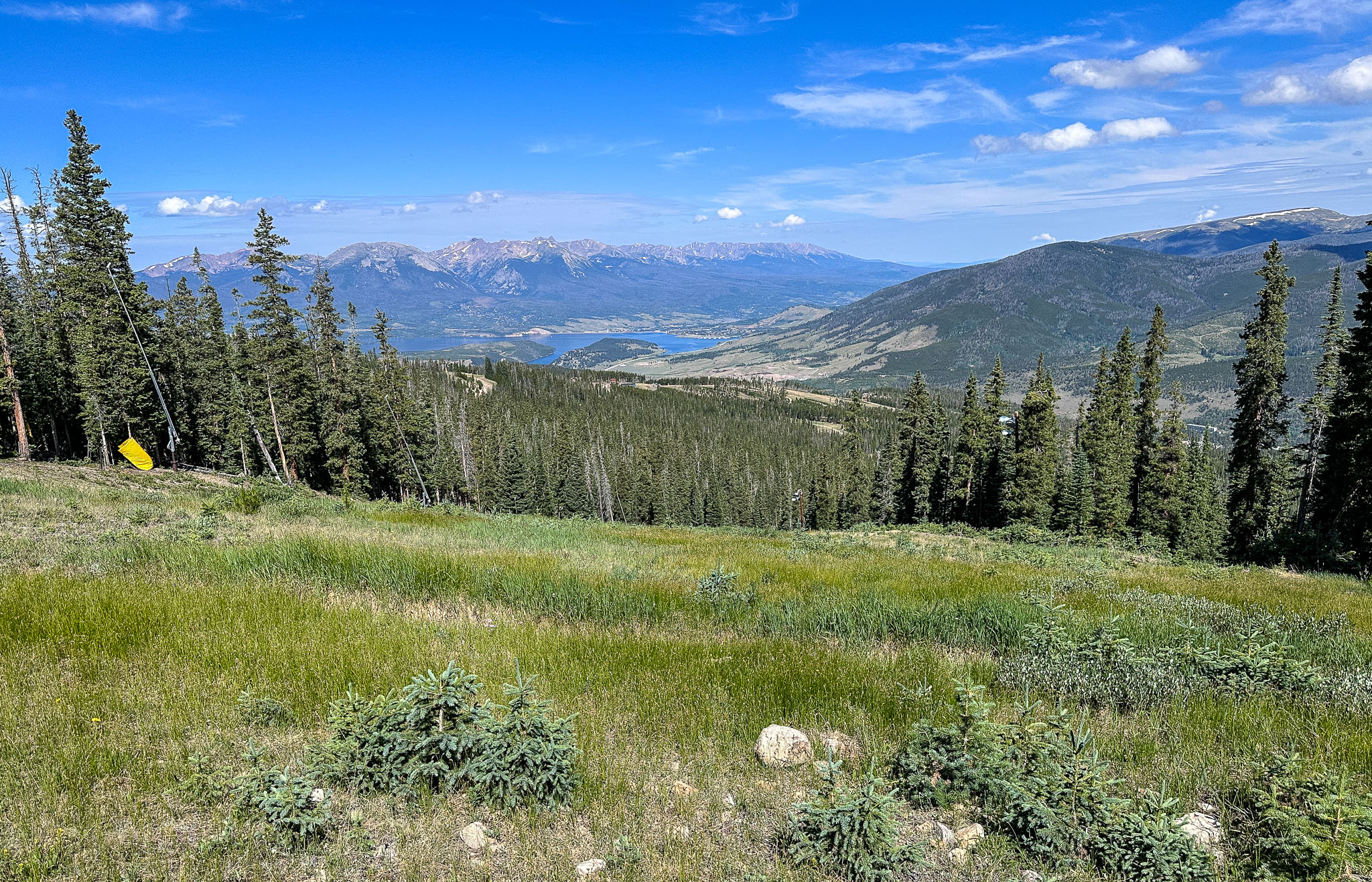 IMG_8656.jpg