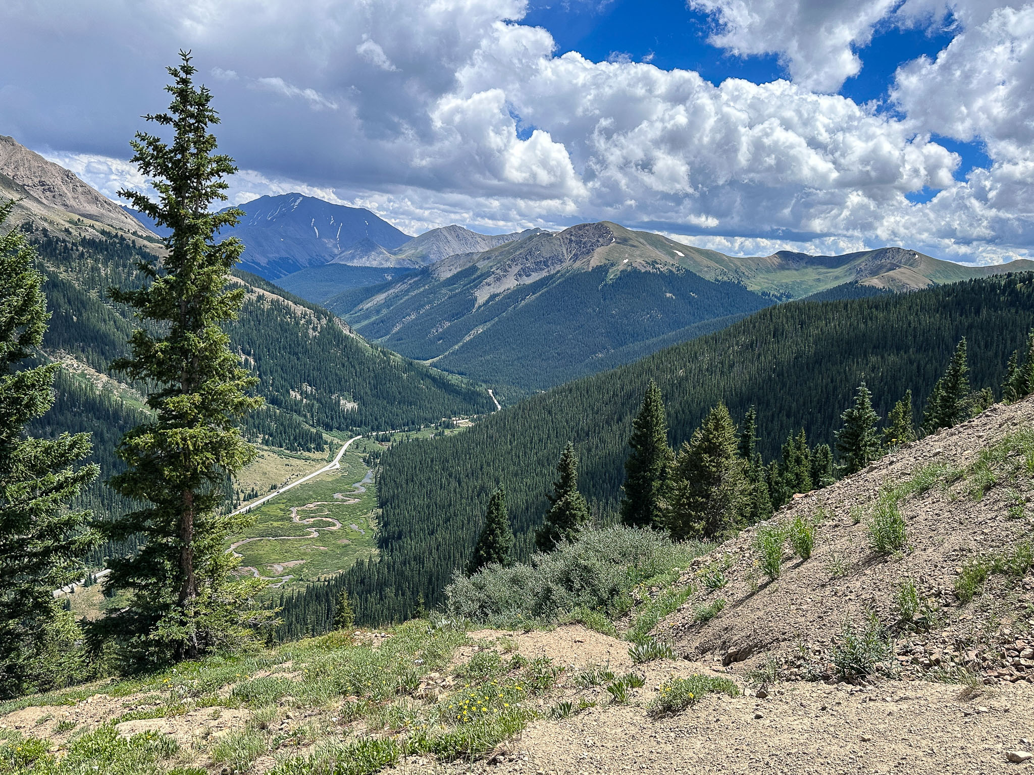 IMG_8709.jpg