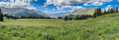 IMG_9050.jpg