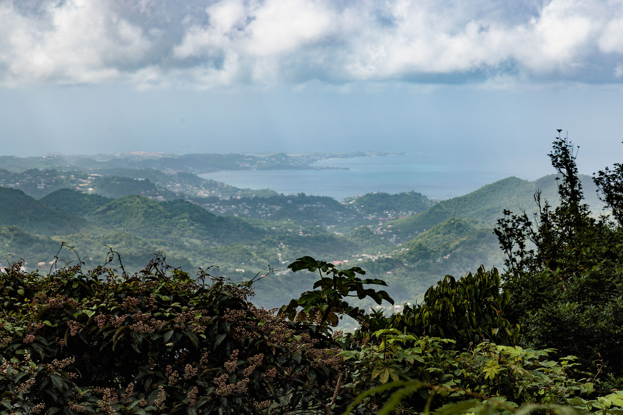 Grenada2023-0045-36.jpg