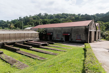 Grenada2023-0045-31.jpg