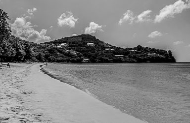 IMG_9656.jpg