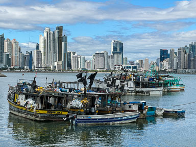 IMG_0979.jpg
