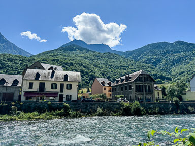 IMG_2901.jpg