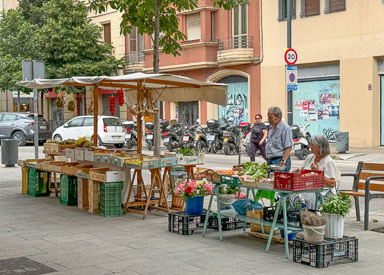 IMG_3257.jpg