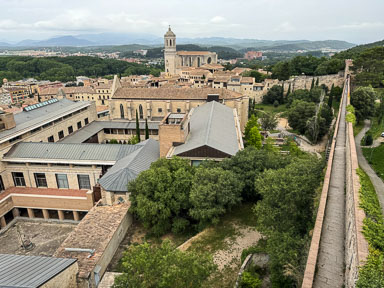 IMG_3272.jpg