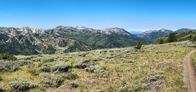 IMG_3957.jpg