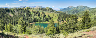 IMG_3963.jpg