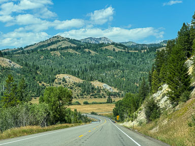 IMG_4156.jpg