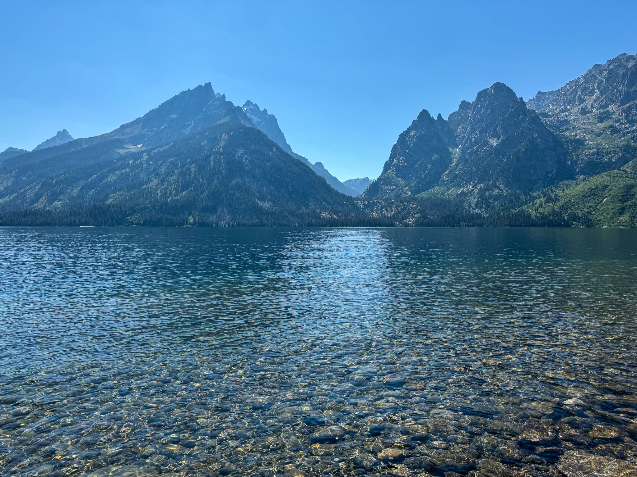 IMG_4255.jpg