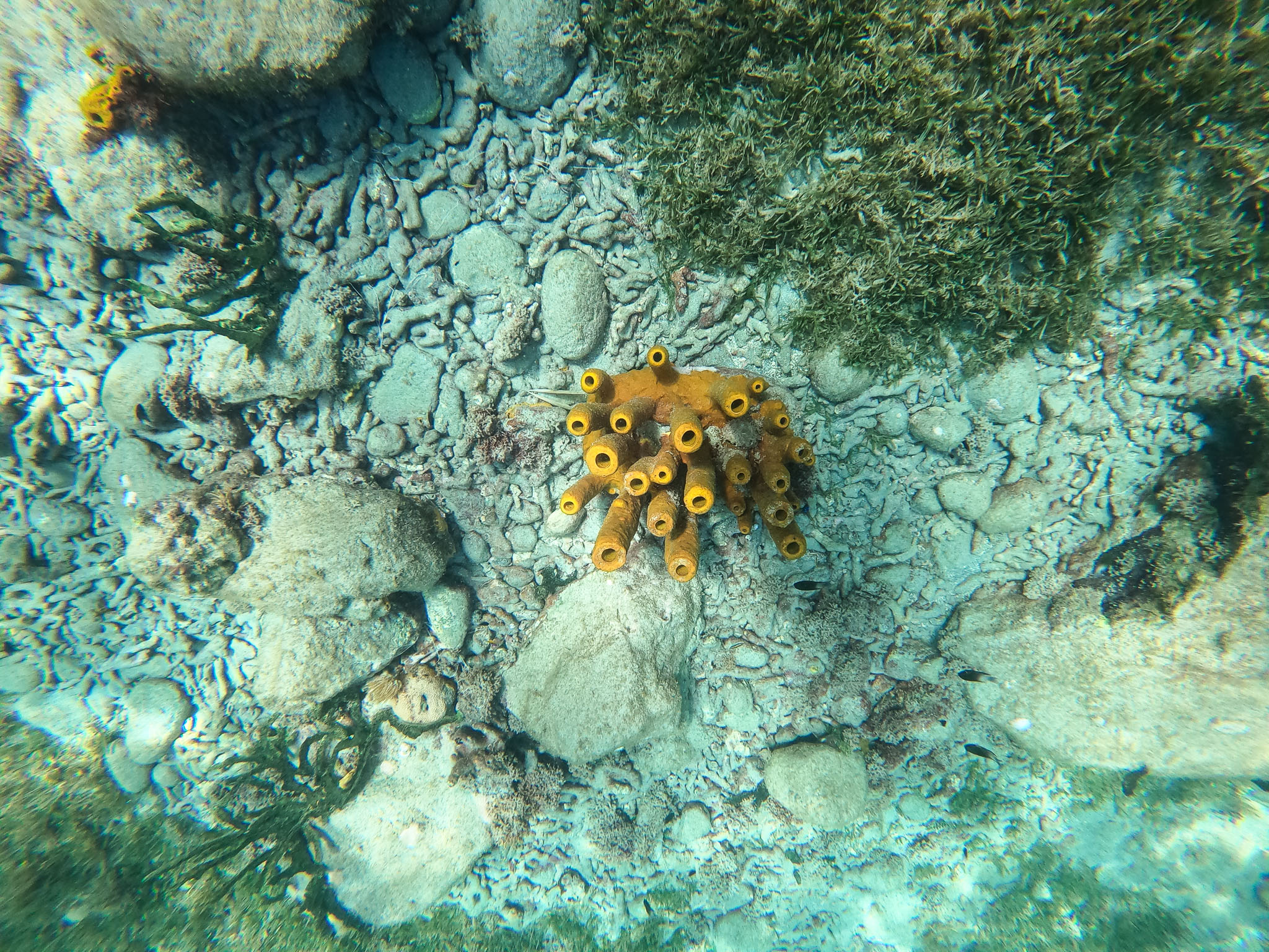 GOPR0774.jpg