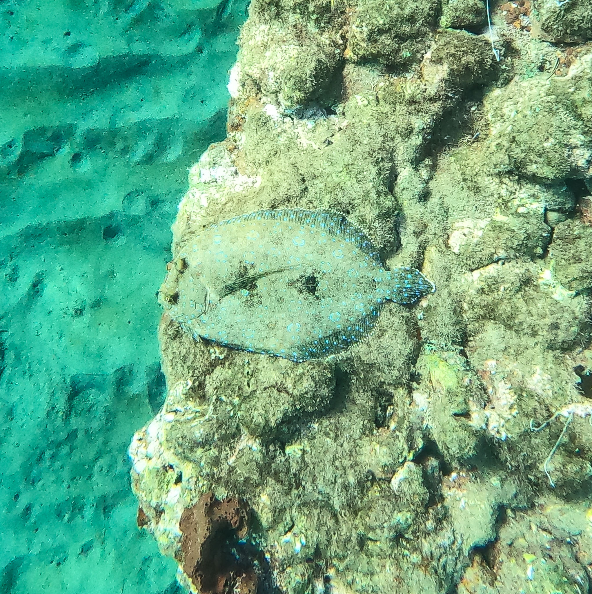 GOPR0960.jpg