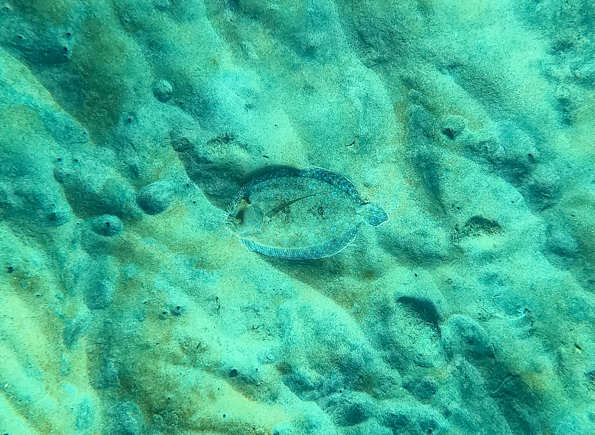GOPR0961.jpg