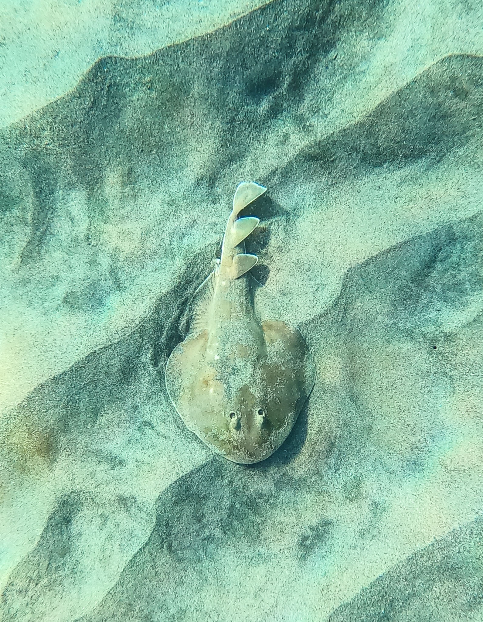 GOPR0978.jpg