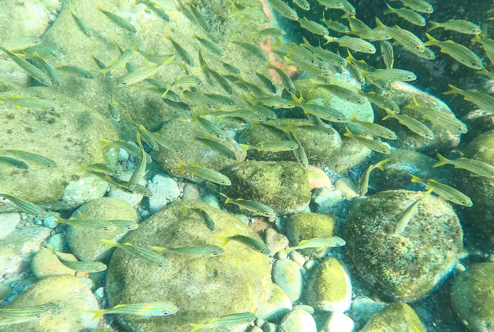 GOPR0983.jpg