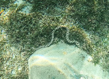 GOPR0773.jpg