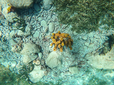 GOPR0774.jpg